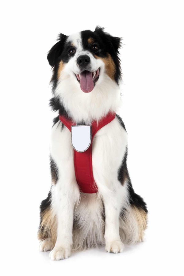 Comment les systèmes d'alerte de somnolence du conducteur sont-ils développés ?